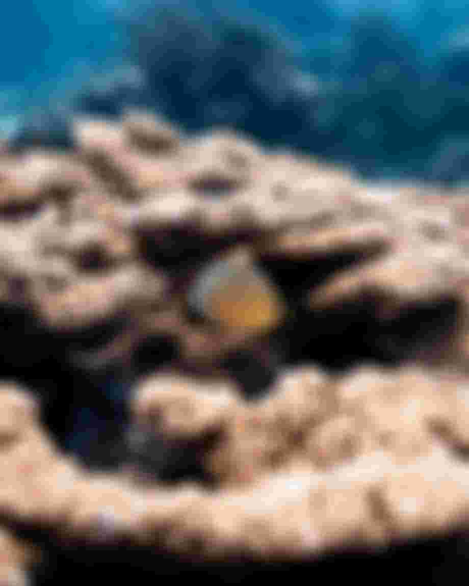 Watermarked-PHOTO-BANK0114